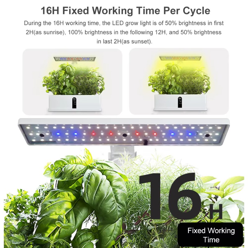Sistema de Cultivo Hidropónico - Smart Gardening reseña y precio